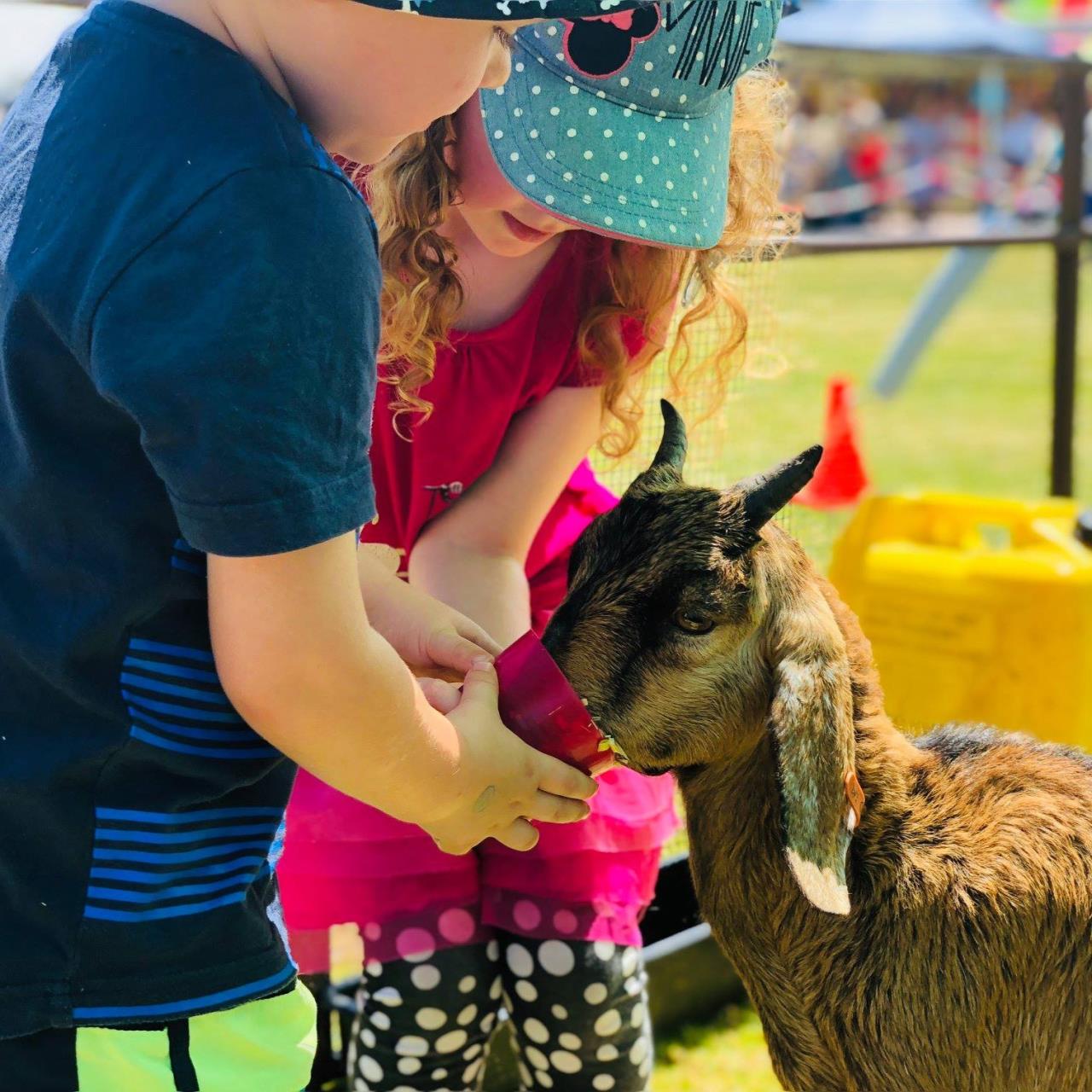 Description of image