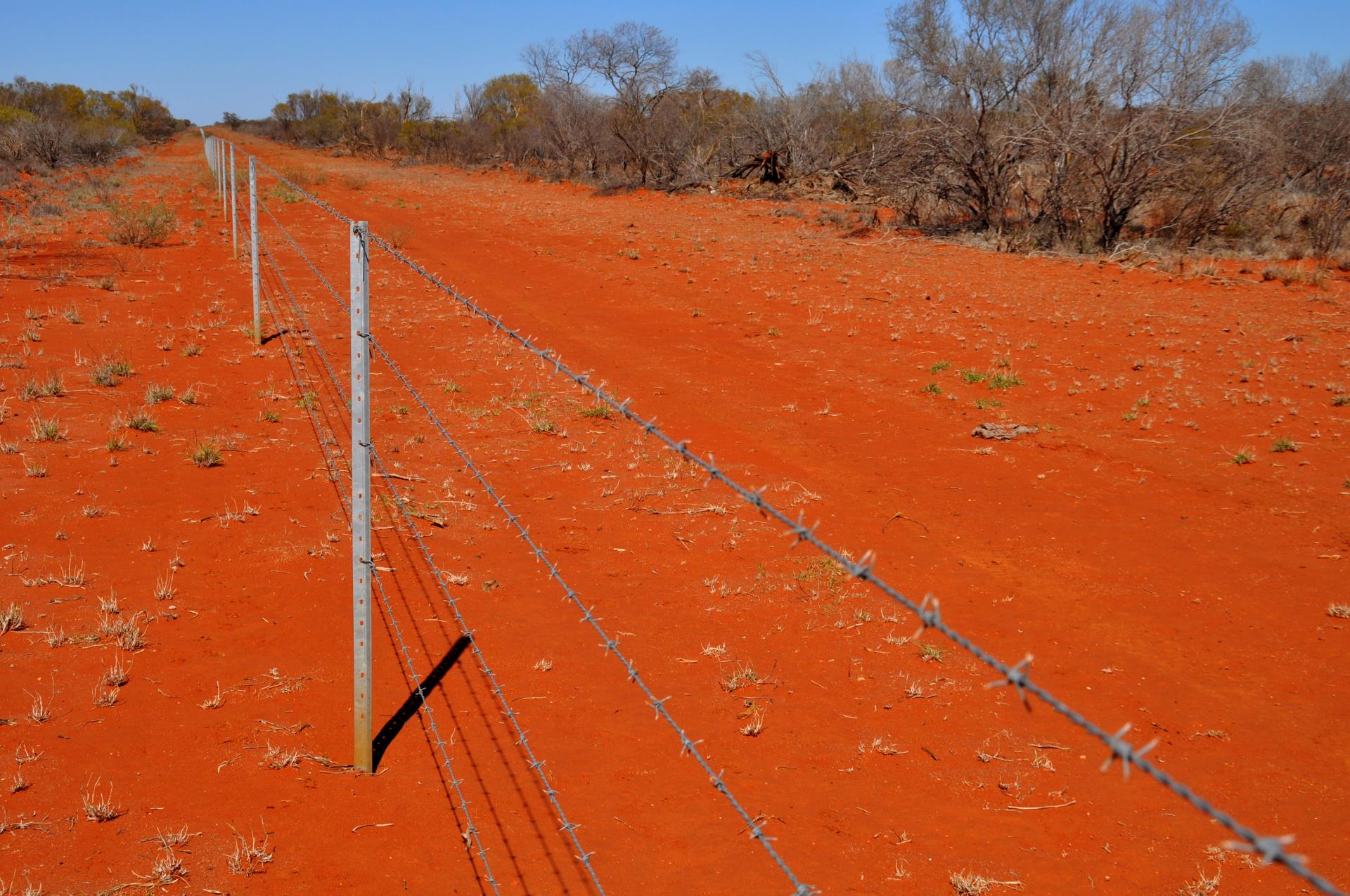 Fire Break and Hazard Reduction Image