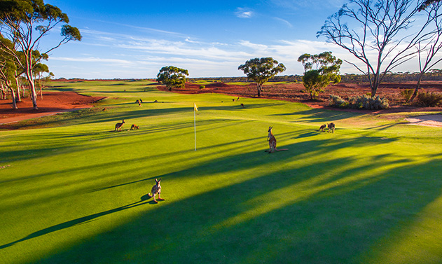 Kalgoorlie Golf Course Image