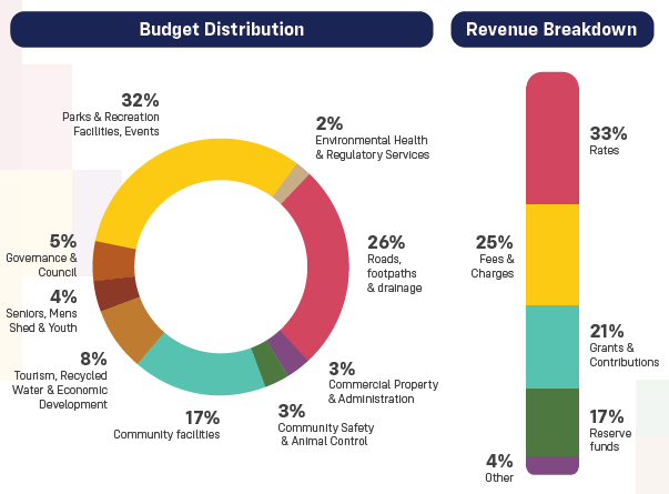Budget Distribution and Revenue Breakdown