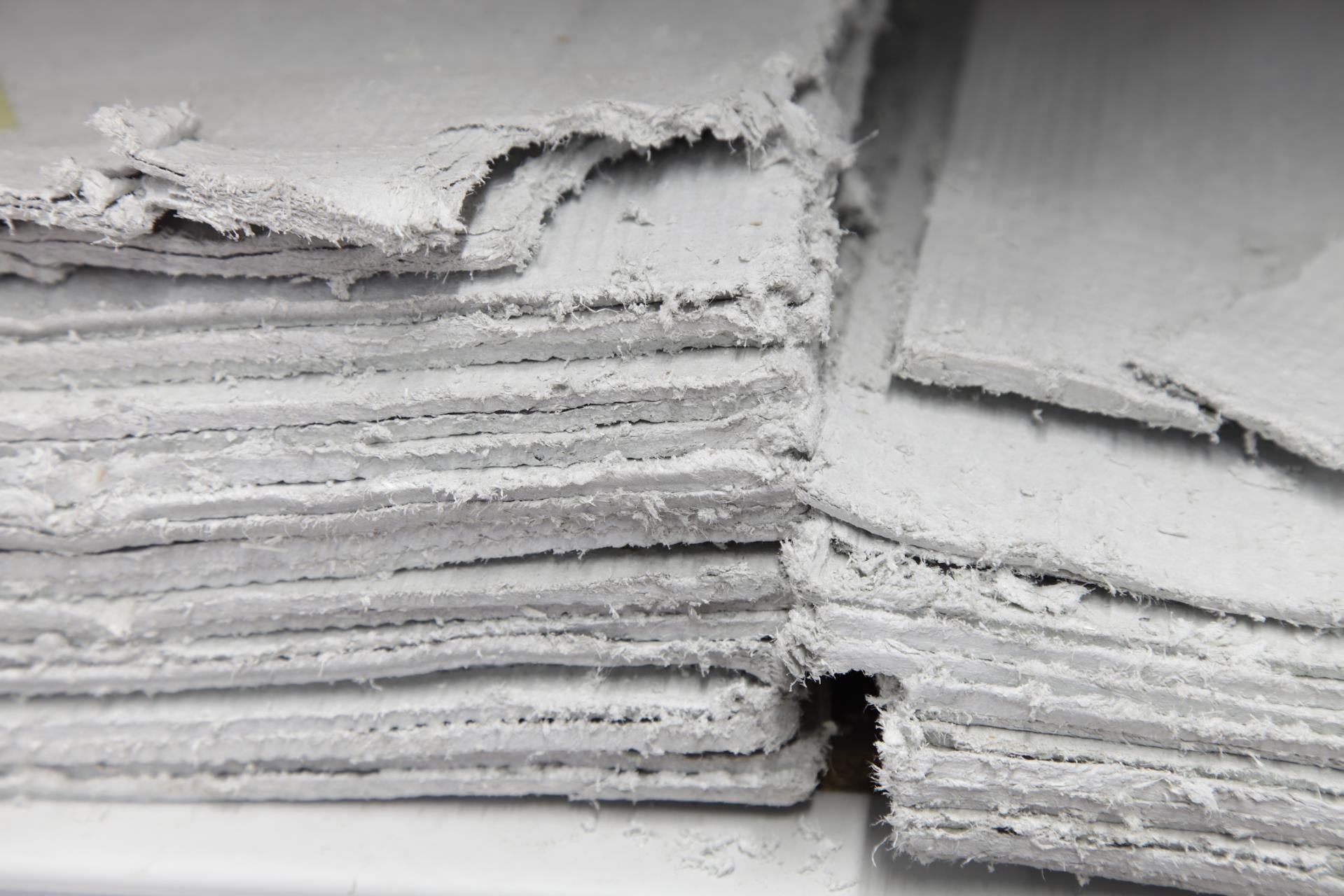 Asbestos Management and Register Image