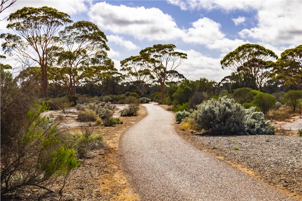 Happy Pets: The Best Places to go - 069A0692