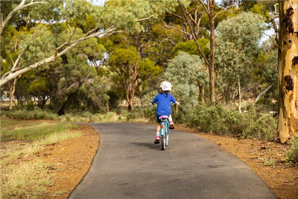 Happy Pets: The Best Places to go - 069A3120