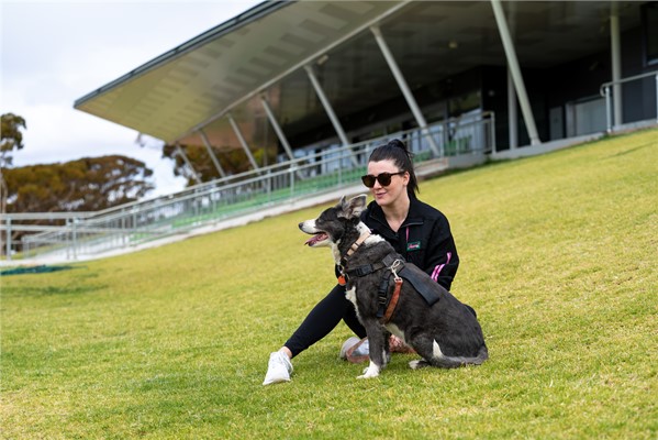 Happy Pets: The Best Places to go - Dog Walk