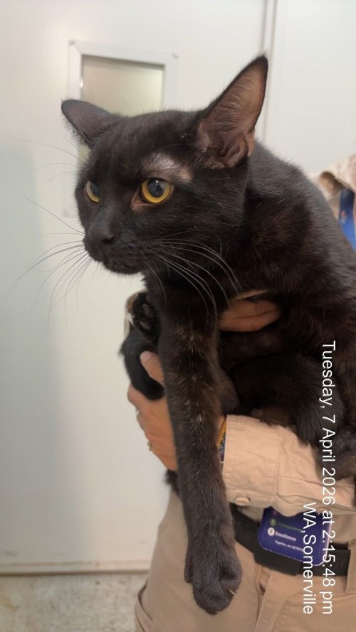 Photo for animal #1867