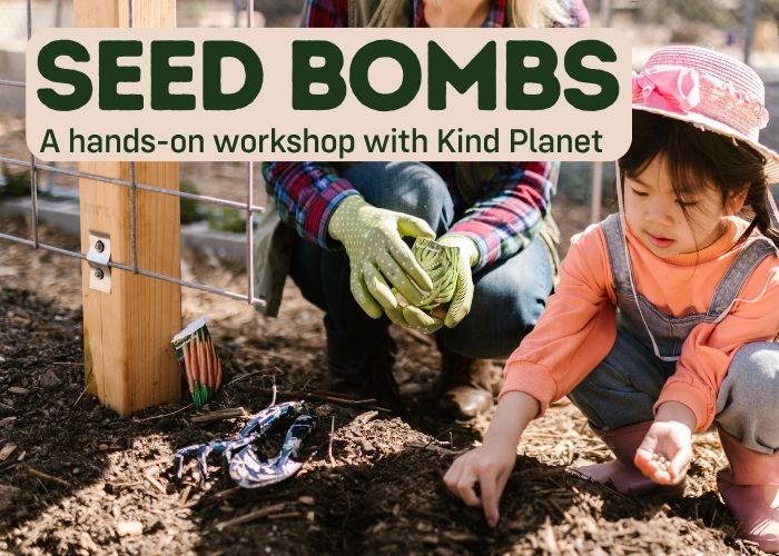Seed Bomb Workshop