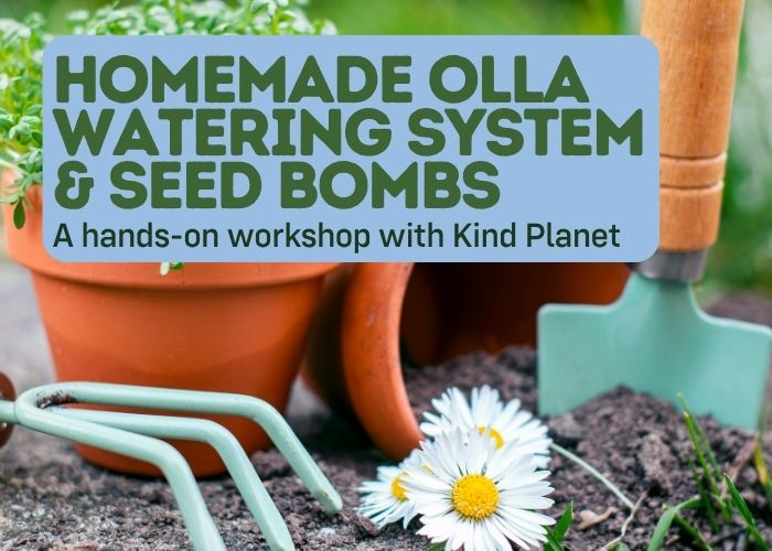 Homemade Olla Watering Systems and Seed Bomb Workshop