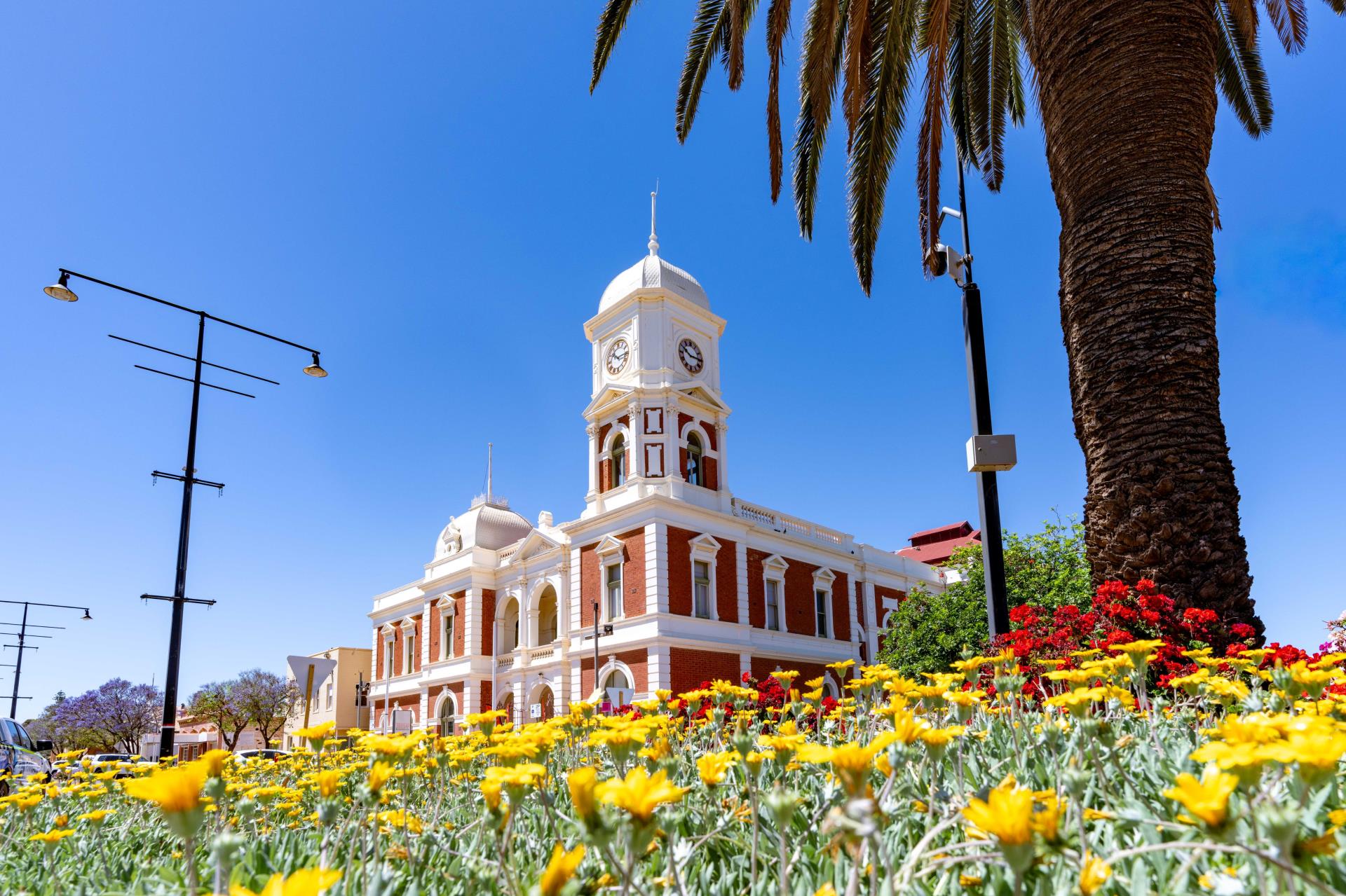 Boulder Town Hall Open Day & Community Markets