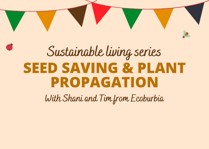 Sustainable Living Series: Seed Saving & Plant Propagation