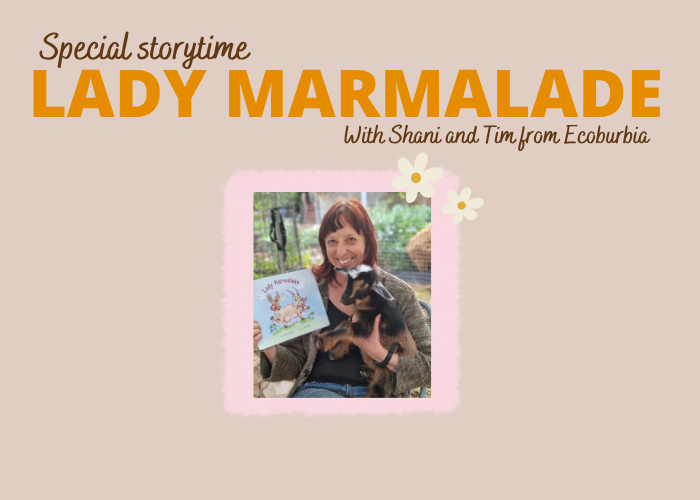 Special Storytime - Lady Marmalade