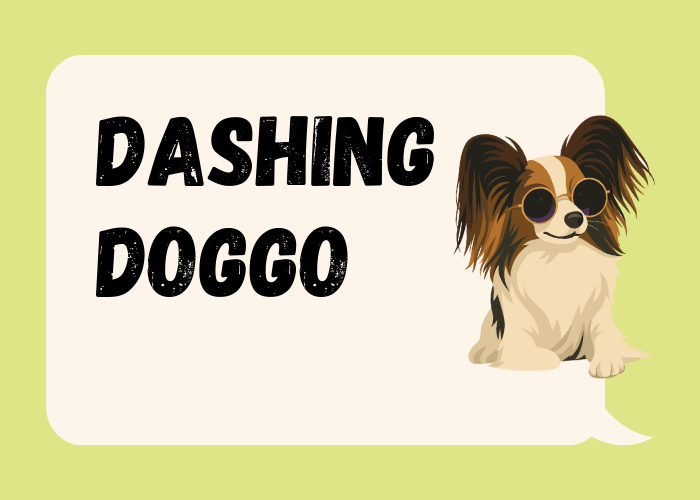 Dashing Doggo