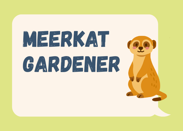 Meerkat Gardener