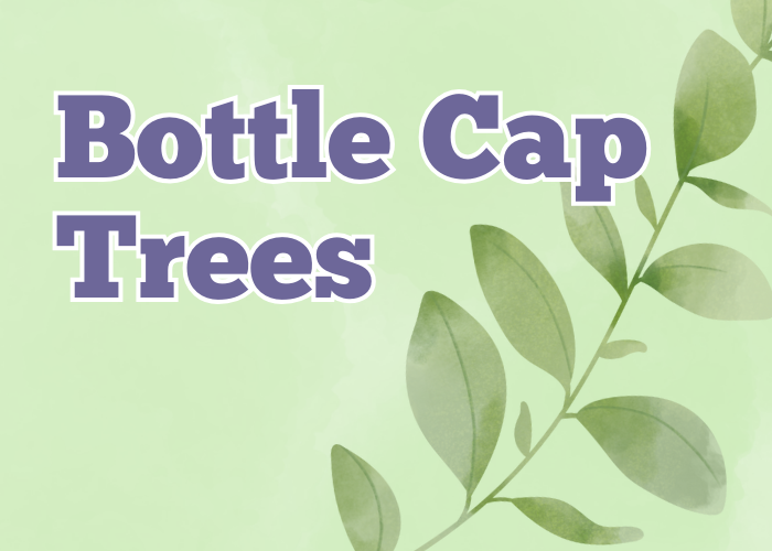 Bottle Cap Trees