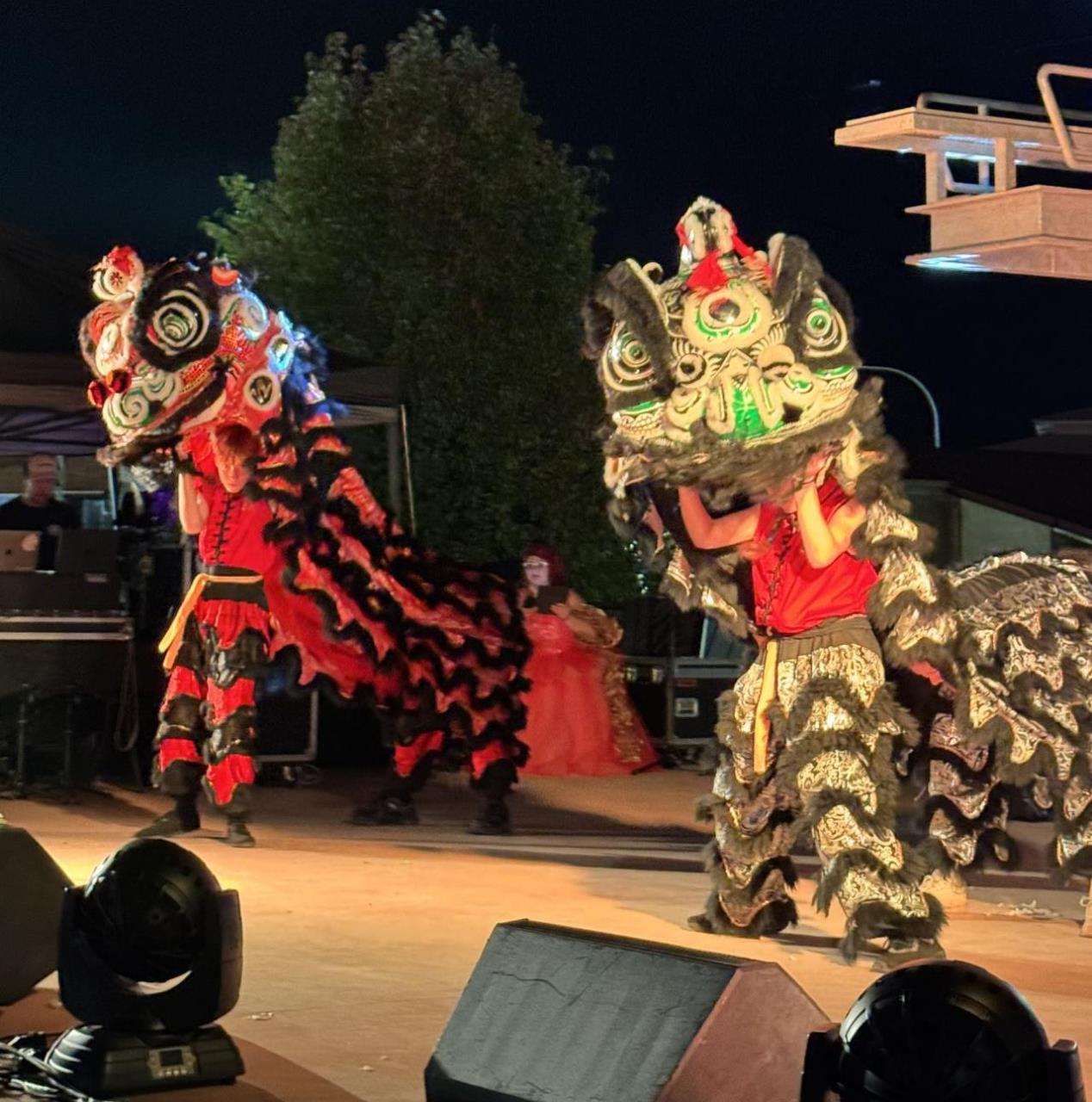 Multicultural Festival brings the community together for a big night of