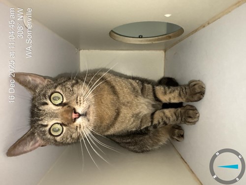 Photo for animal #1660