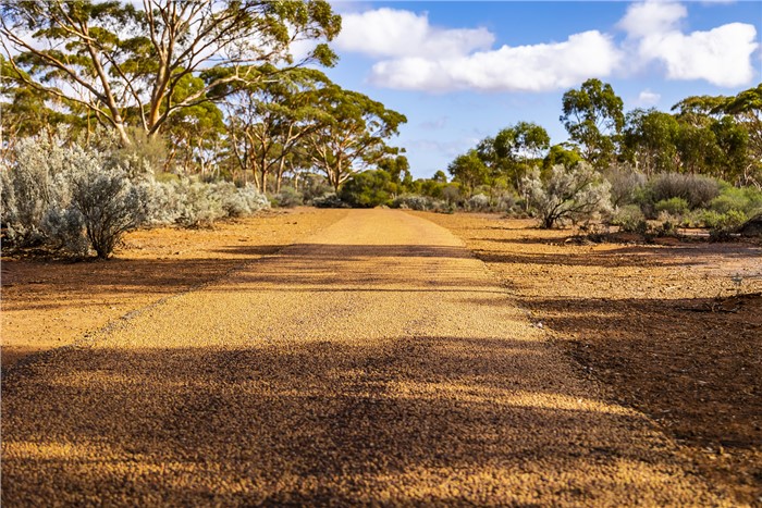 Image Gallery - 069A0694