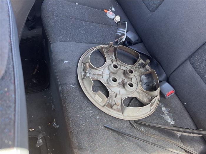 Image Gallery - TC_03278